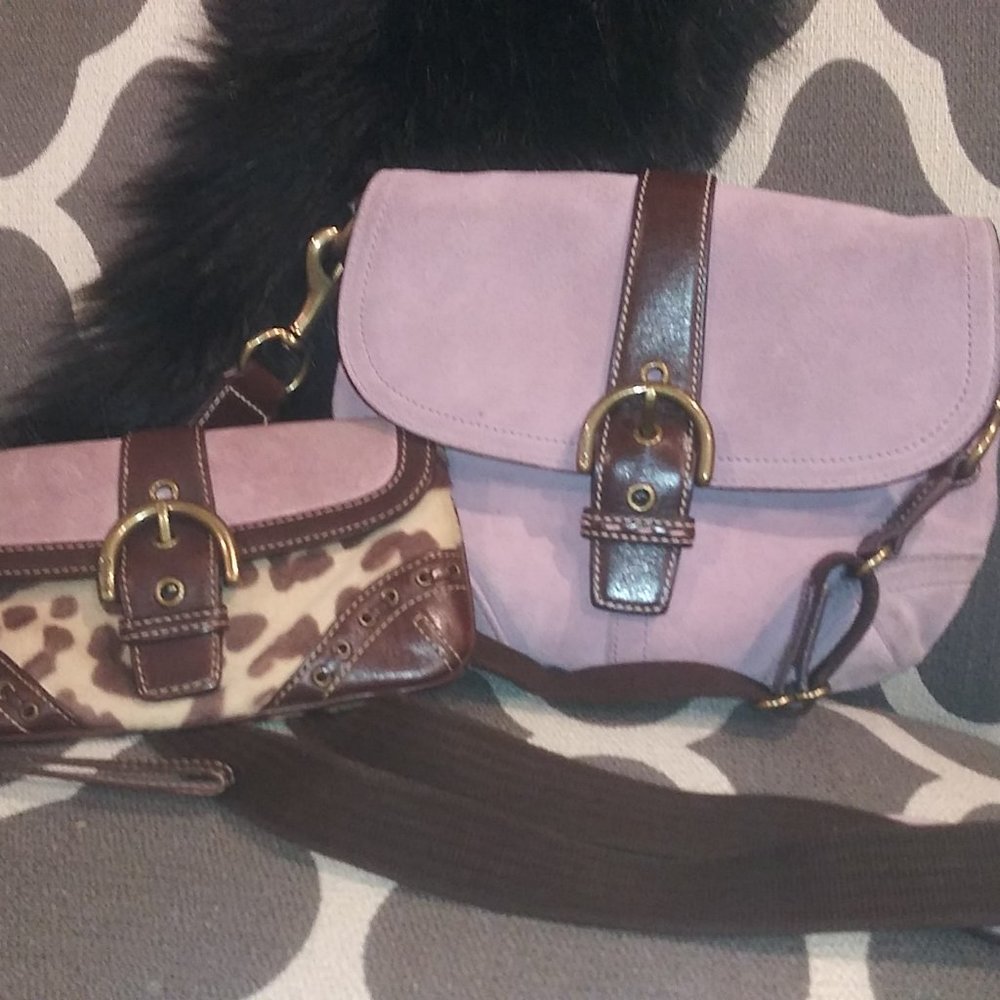 Coach Bag and matching Leopard pony hair wristlet